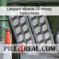 Leopard Miracle Of Honey Instructions 07